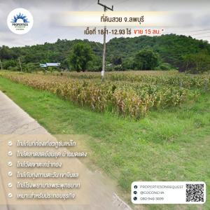 For SaleLandLop Buri : 📢 Land for sale, beautiful location. Surrounded by mountain views Near tourist attractions, Lop Buri (area of over 18 rai) (Property number: COL022)