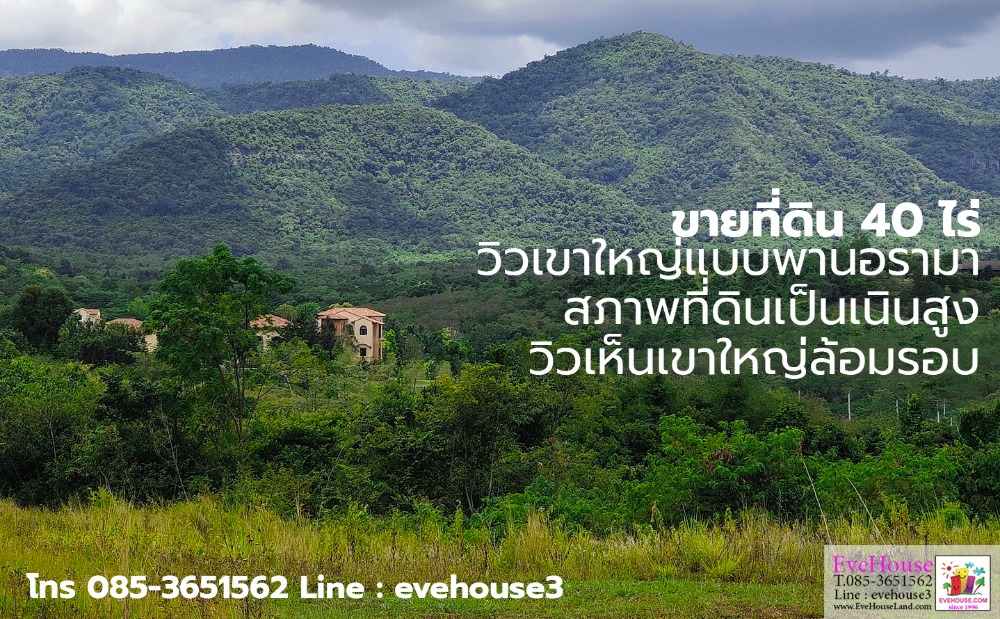 For SaleLandPak Chong KhaoYai : Khao Yai land near Toscana Valley, Khao Yai panoramic view, size 40 rai, 5.2 million baht each, total 240 million