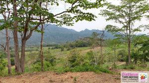For SaleLandPak Chong KhaoYai : Land for sale, 580 rai, Khao Yai, very beautiful, surrounded by mountains, for sale 4 million baht / rai, total 2,320 million baht.