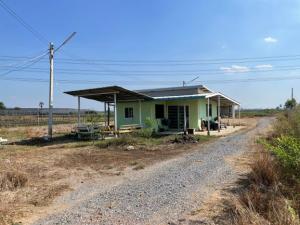 For SaleLandNakhon Pathom, Phutthamonthon, Salaya : For sale is the land already filled. suitable for farming Tourism agriculture, garden houses, land for sell