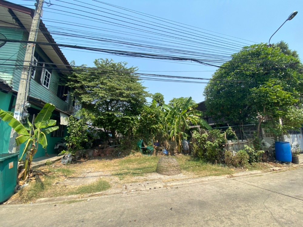 For SaleLandBang kae, Phetkasem : ✨✨ Land for sale urgently!!! Economic Village Soi 42, land size 78 sq.wa. Economic village near The Mall Bang Khae Can go in and out in many ways, convenient to travel, suitable for building a house to live ✨✨