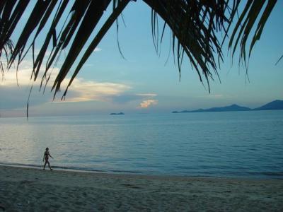 ขายที่ดินภูเก็ต ป่าตอง หาดราไวย์ : ขายที่ดิน ติดหาด แม่น้ำ เกาะสมุย