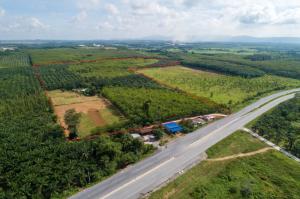 For SaleLandPattaya, Bangsaen, Chonburi : Land for sale, beautiful plot, area of 102-0-98 rai, suitable for building a warehouse, factory, Nong Suea Chang Subdistrict, Nong Yai District, Chonburi Province