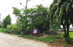 For RentLandLadkrabang, Suwannaphum Airport : **For rent, beautiful land 204 sq wa Soi Chaloem Phrakiat Rama 9 Soi 48 Intersection 4 Prawet 35,000 baht/month