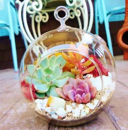 สีสันสดใส ไปกับ Terrarium สุดน่ารัก