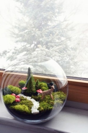 บอกเล่าเรื่องราว  ด้วย Terrarium