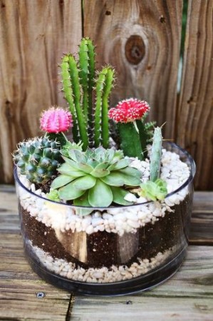 สวย โดดเด่น สะดุดตา