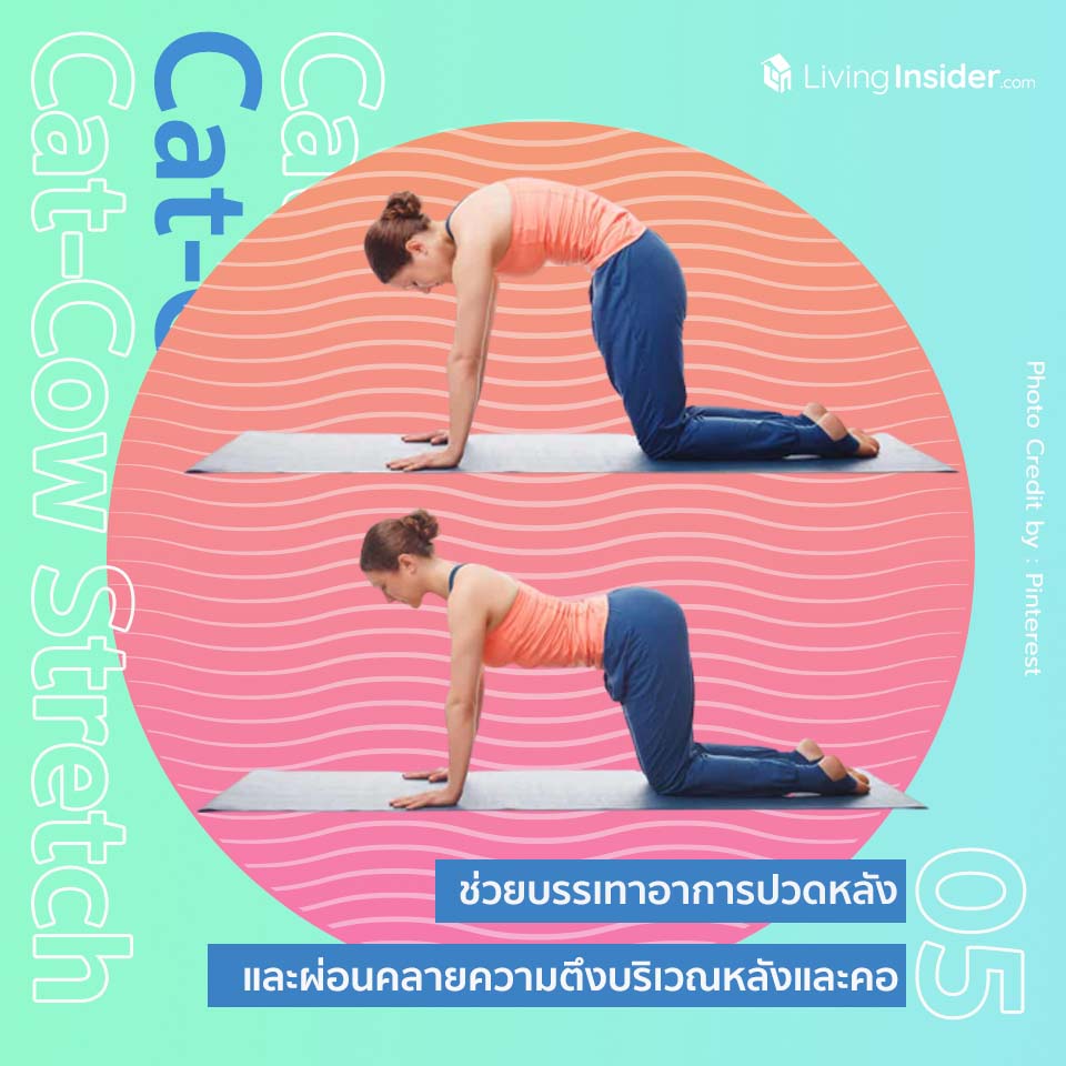 สาย Work From Home ต้องอ่าน! รวม 5 ท่าโยคะ แก้ปวดหลังสุดเบสิคทำงานหนักแค่ไหนก็เอาอยู่ 