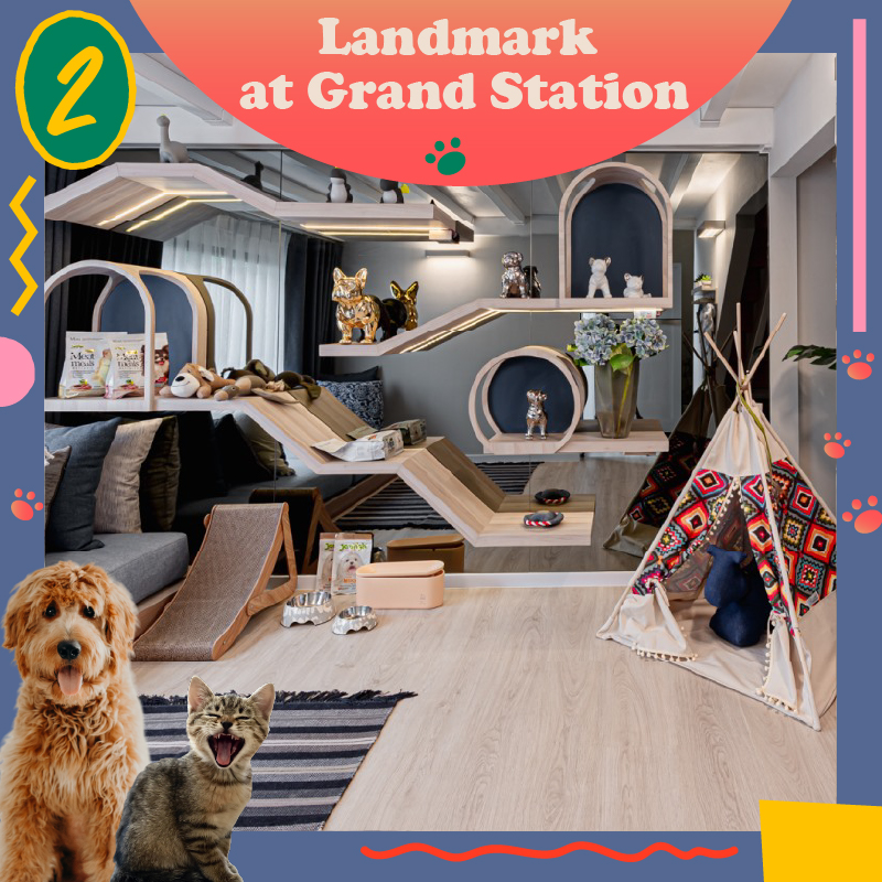 UPDATE! คอนโดเลี้ยงสัตว์ได้ Pet Friendly ที่อยู่แล้วลูกรักแฮปปี้ 
