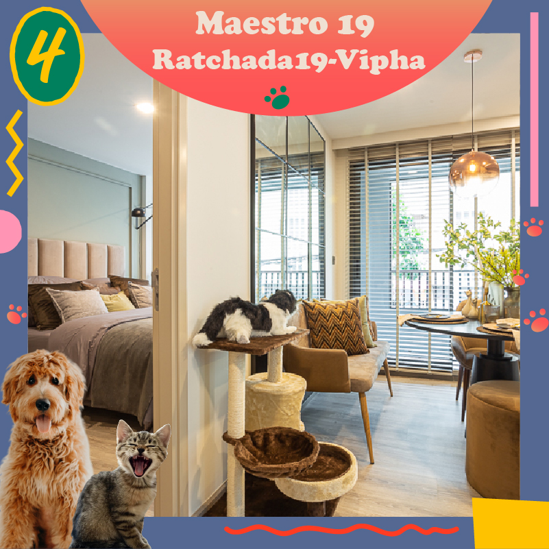 UPDATE! คอนโดเลี้ยงสัตว์ได้ Pet Friendly ที่อยู่แล้วลูกรักแฮปปี้ 