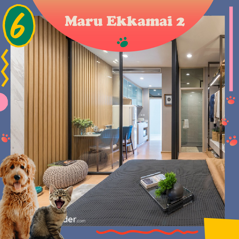 UPDATE! คอนโดเลี้ยงสัตว์ได้ Pet Friendly ที่อยู่แล้วลูกรักแฮปปี้ 