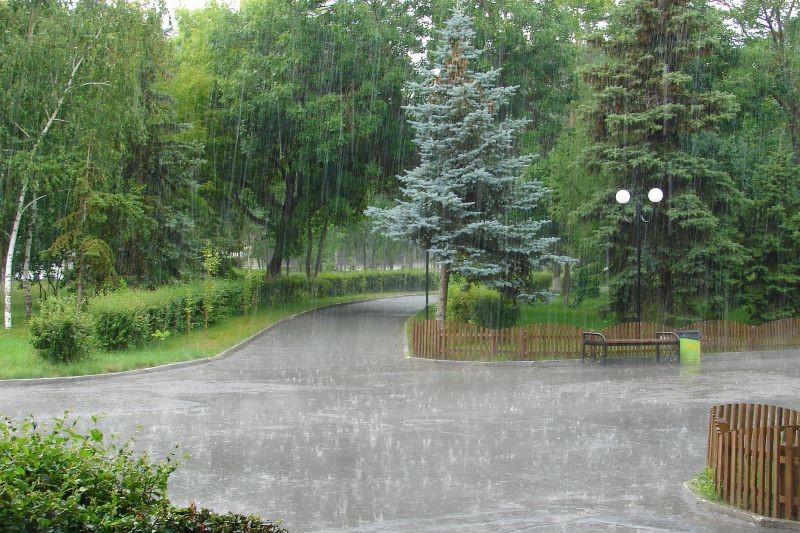 หน้าฝนต้องระวัง! เครื่องใช้ไฟฟ้าในบ้านที่เสี่ยงถูกฟ้าผ่า