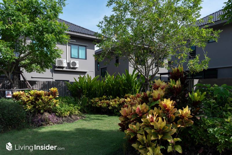 COMO BOTANICA II | Urban Botanical Home บ้านที่ออกแบบชีวิตให้ชิดธรรมชาติอย่างแท้จริง ในราคาเริ่มต้นเพียง 6.59 ล้านบาท* เท่านั้น