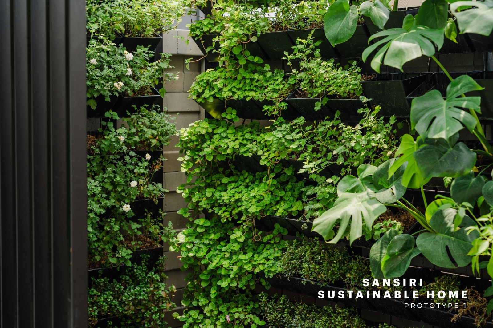 แสนสิริ เปิดตัว Sustainable Home – Prototype 1  แฟลกชิปบ้านเพื่อความยั่งยืนและคุณภาพชีวิตแห่งแรกของไทย  ปูทางสู่อนาคตที่อยู่อาศัยคาร์บอนต่ำ