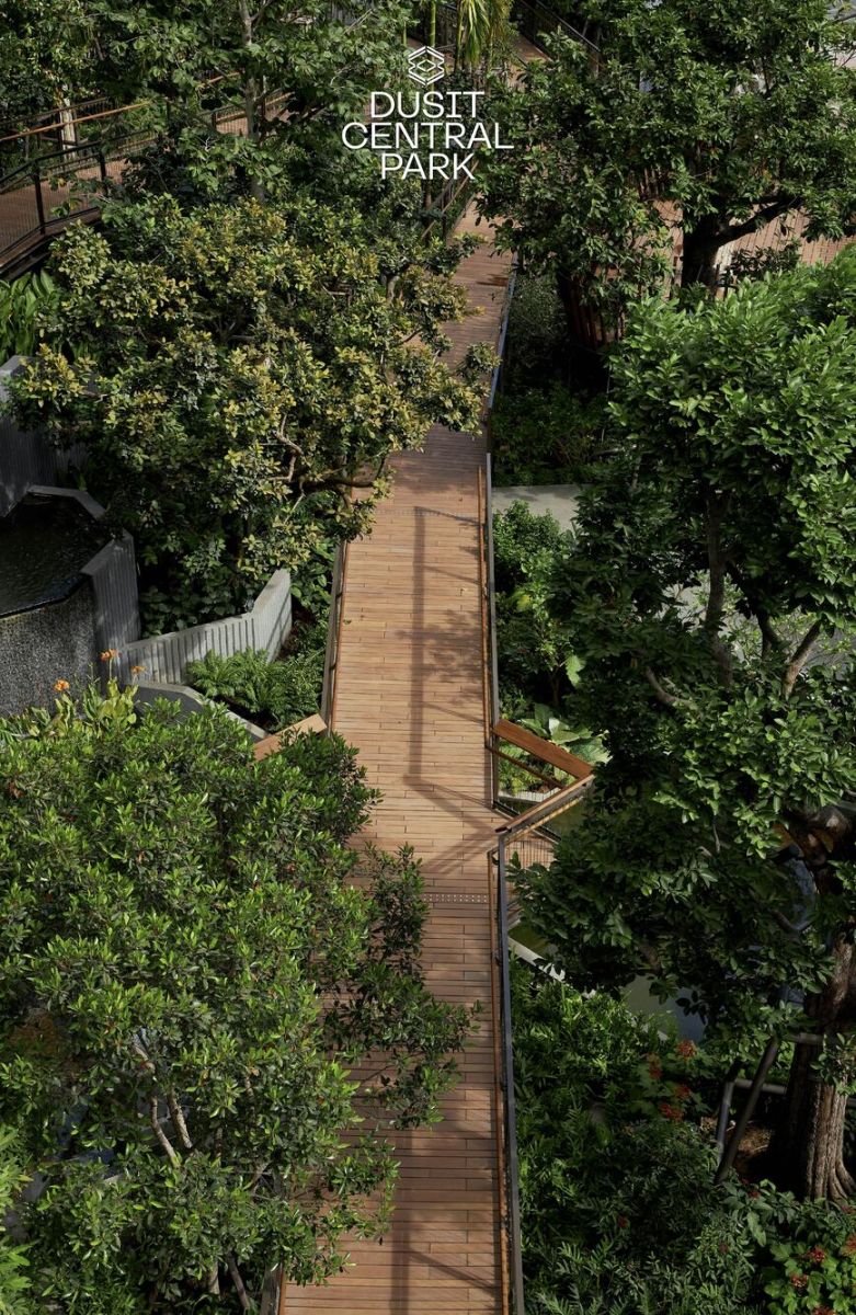 Dusit Central Park เผยความพร้อม Roof Park สวนลอยฟ้าใจกลางเมืองที่ใหญ่ที่สุดในประเทศไทย เตรียมเปิด 3 ก.ย. นี้