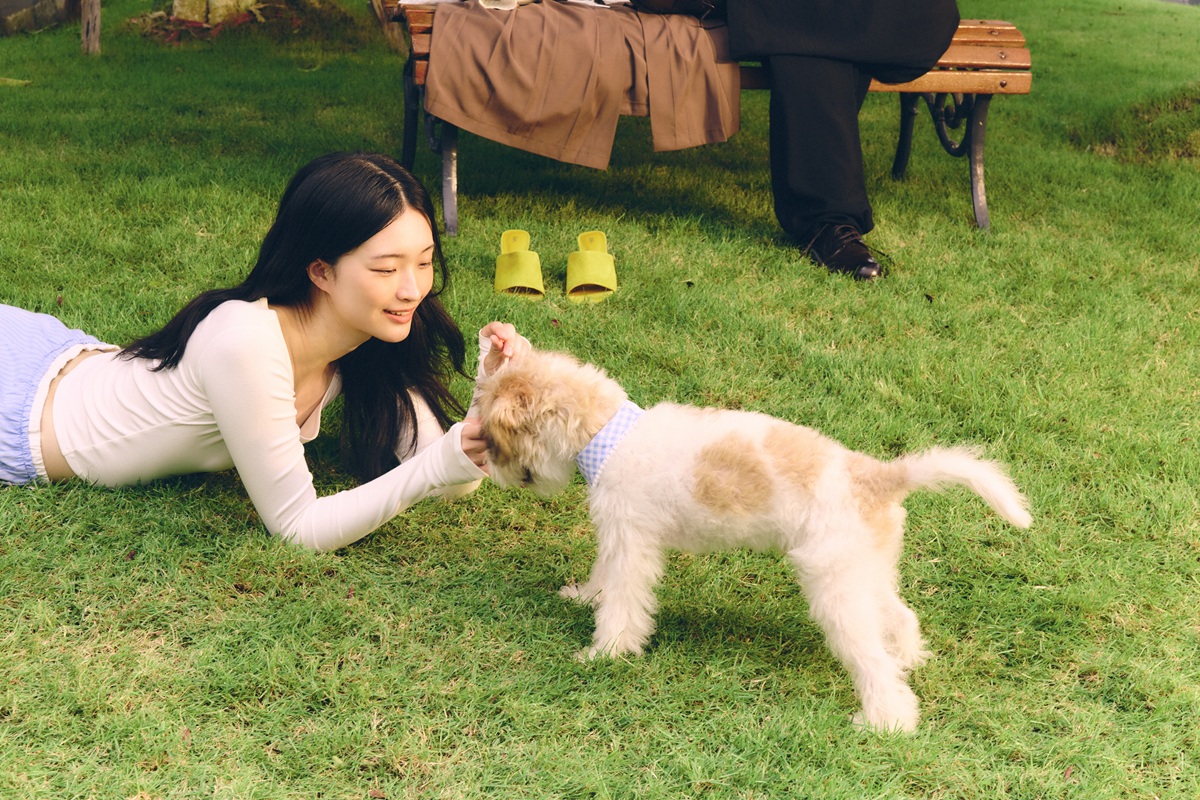 LUMPINI PARK ON 19 พร้อมเปิดจองโซน Pet Friendly แล้ว!   เอาใจคนรักสัตว์ย่านอ่อนนุช ส่งโปรแรงลดสูงสุด 2 แสนบาท* 