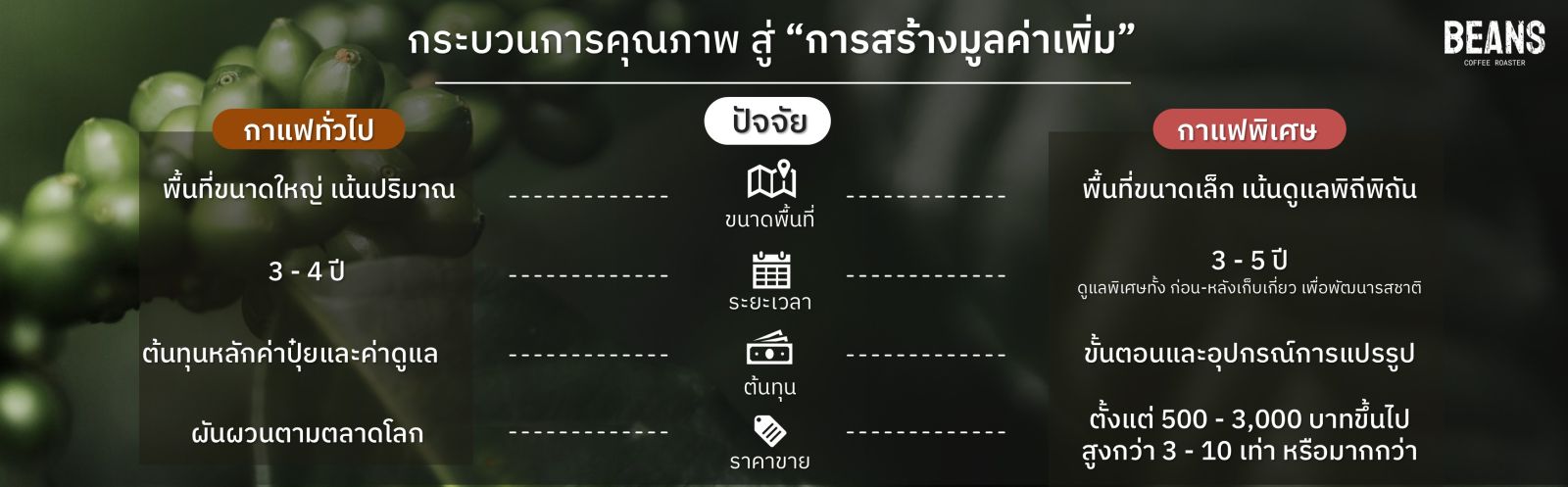 แสนสิริ เปิดตัวโปรเจ็กต์ธุรกิจเพื่อสังคม ศูนย์การเรียนรู้กาแฟพิเศษครบวงจร สร้างแรงกระเพื่อมเศรษฐกิจฐานราก ขับเคลื่อนและผลักดันสู่ Sustainable Model วิสาหกิจเพื่อสังคม