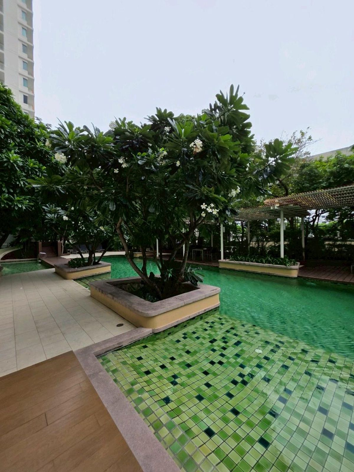 ให้เช่าคอนโดวงเวียนใหญ่ เจริญนคร : [RENT]✨Villa Sathorn Condo ติด BTS กรุงธนบุรี 1ห้องนอน 55 ตรม.
ห้องสวยสะอาด เฟอร์ครบ พร้อมเข้าอยู่ 📞0994152664 | 0803696366
