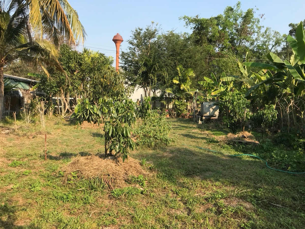 ขายที่ดินเชียงใหม่ : โอกาสสำหรับผู้มองหาที่ดินพร้อมสร้าง ใกล้สนามบินล้านนา (สนามบินเชียงใหม่แห่งที่สอง) สันกำแพง เหมาะอยู่อาศัยหรือการลงทุนระยะยาว 