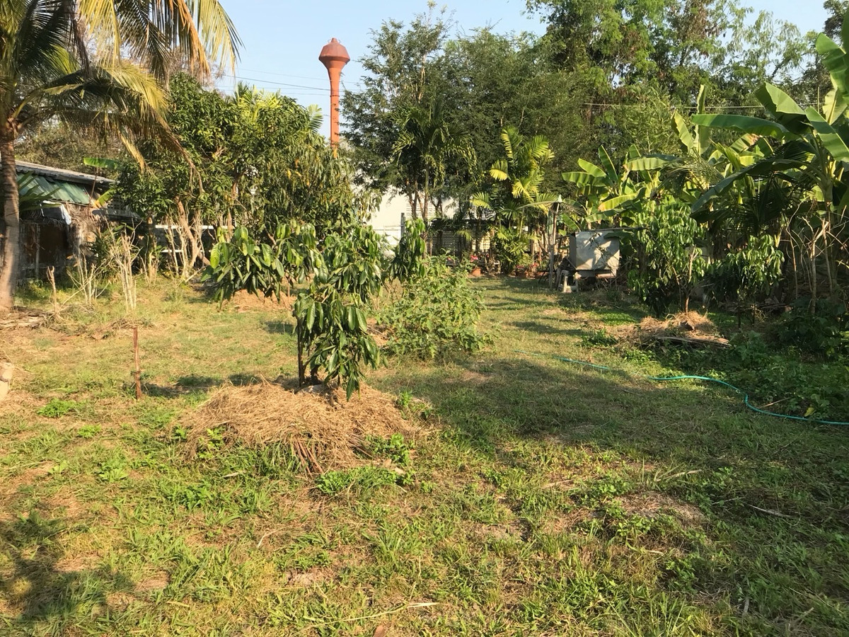 ขายที่ดินเชียงใหม่ : โอกาสสำหรับผู้มองหาที่ดินพร้อมสร้าง ใกล้สนามบินล้านนา (สนามบินเชียงใหม่แห่งที่สอง) สันกำแพง เหมาะอยู่อาศัยหรือการลงทุนระยะยาว 