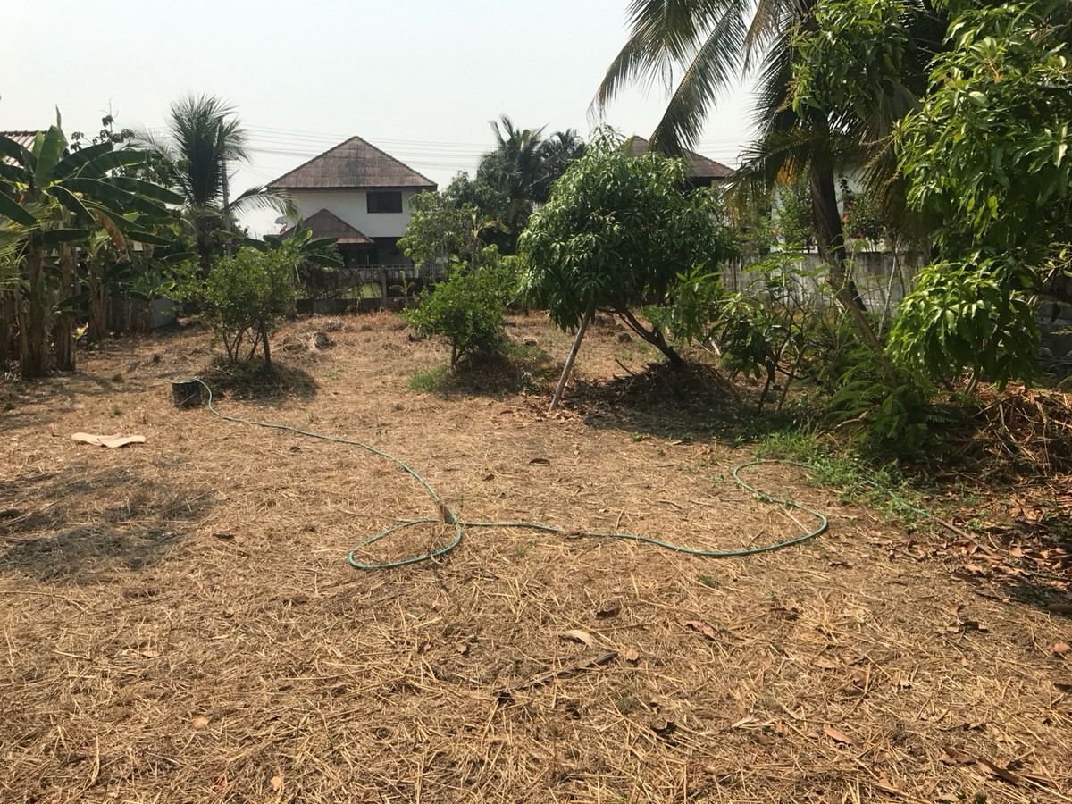 ขายที่ดินเชียงใหม่ : โอกาสสำหรับผู้มองหาที่ดินพร้อมสร้าง ใกล้สนามบินล้านนา (สนามบินเชียงใหม่แห่งที่สอง) สันกำแพง เหมาะอยู่อาศัยหรือการลงทุนระยะยาว 