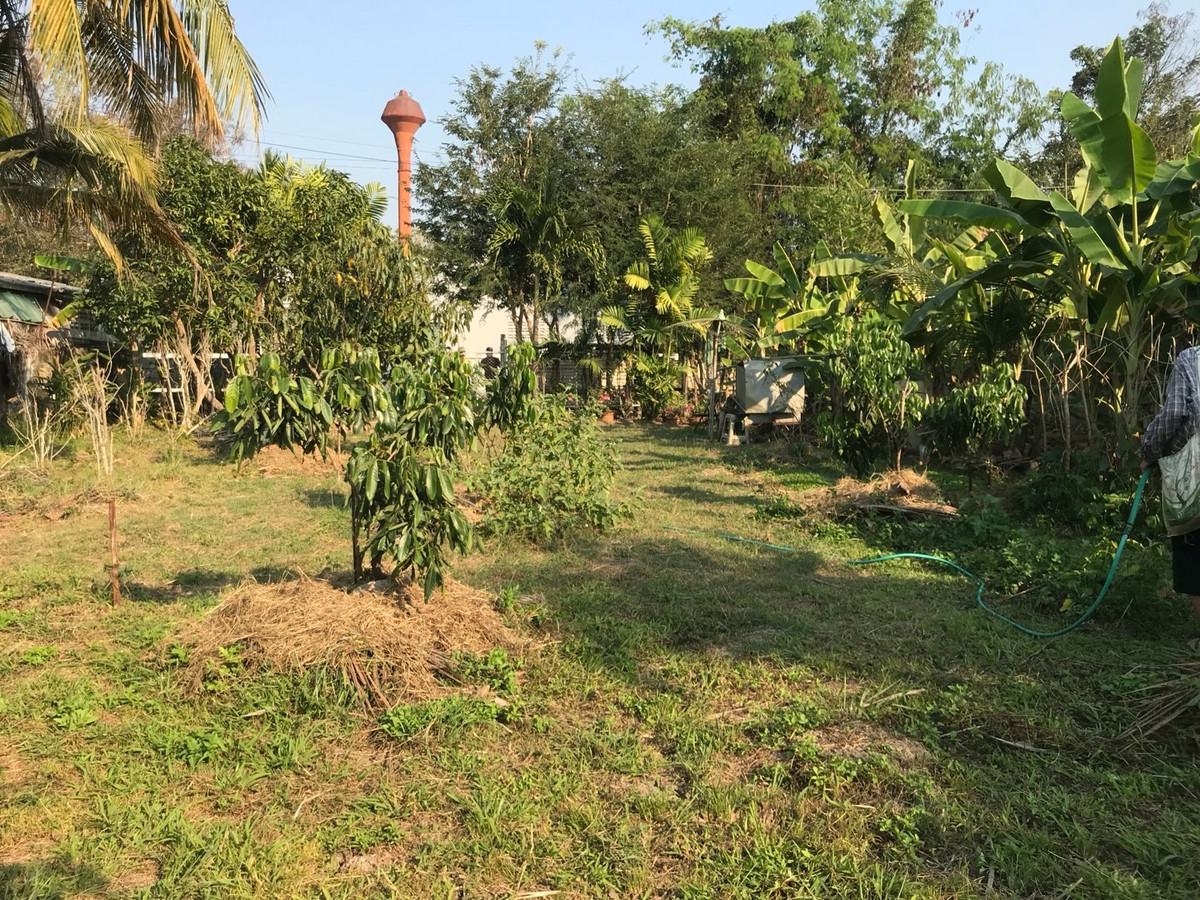 ขายที่ดินเชียงใหม่ : โอกาสสำหรับผู้มองหาที่ดินพร้อมสร้าง ใกล้สนามบินล้านนา (สนามบินเชียงใหม่แห่งที่สอง) สันกำแพง เหมาะอยู่อาศัยหรือการลงทุนระยะยาว 