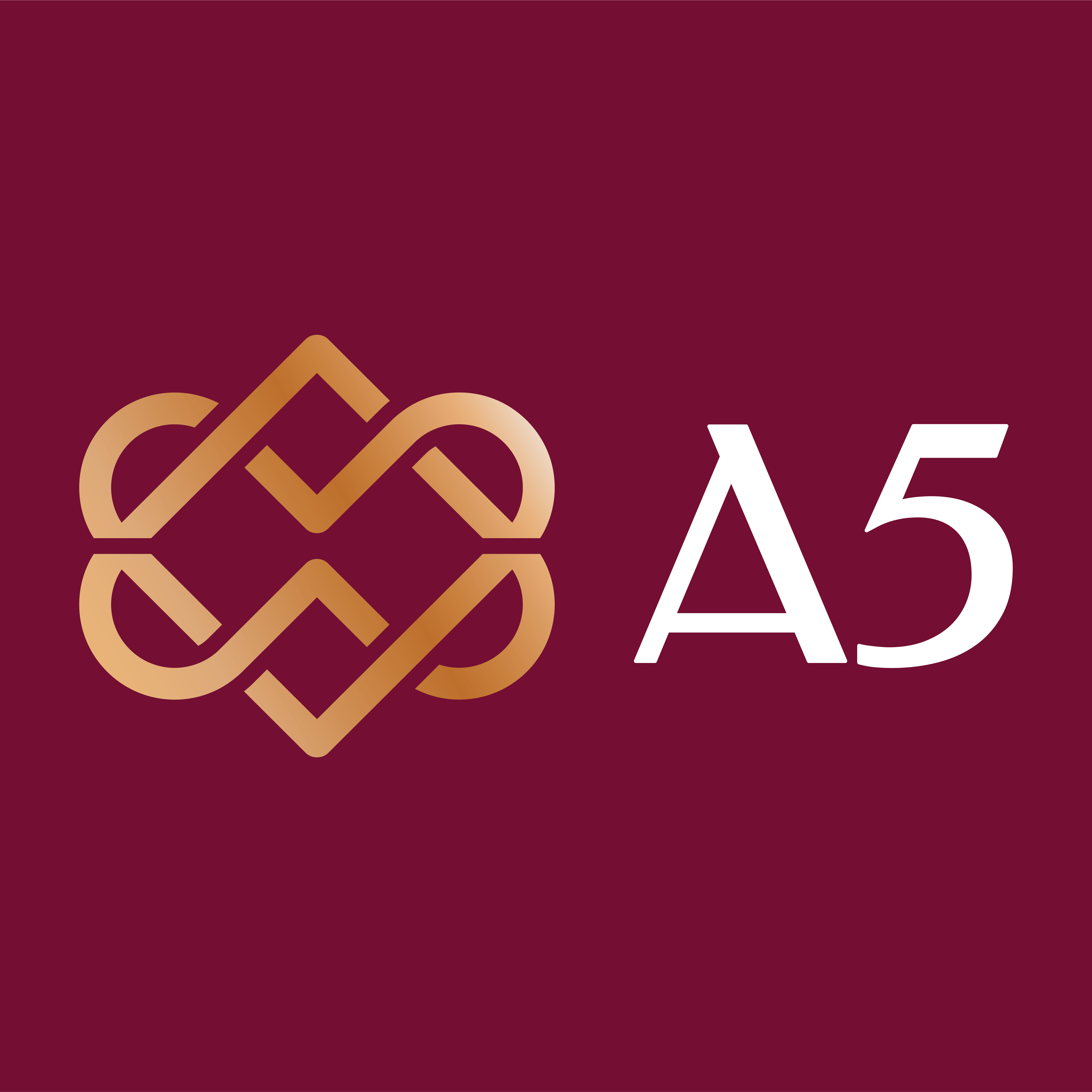 Asset Five Group (A5)