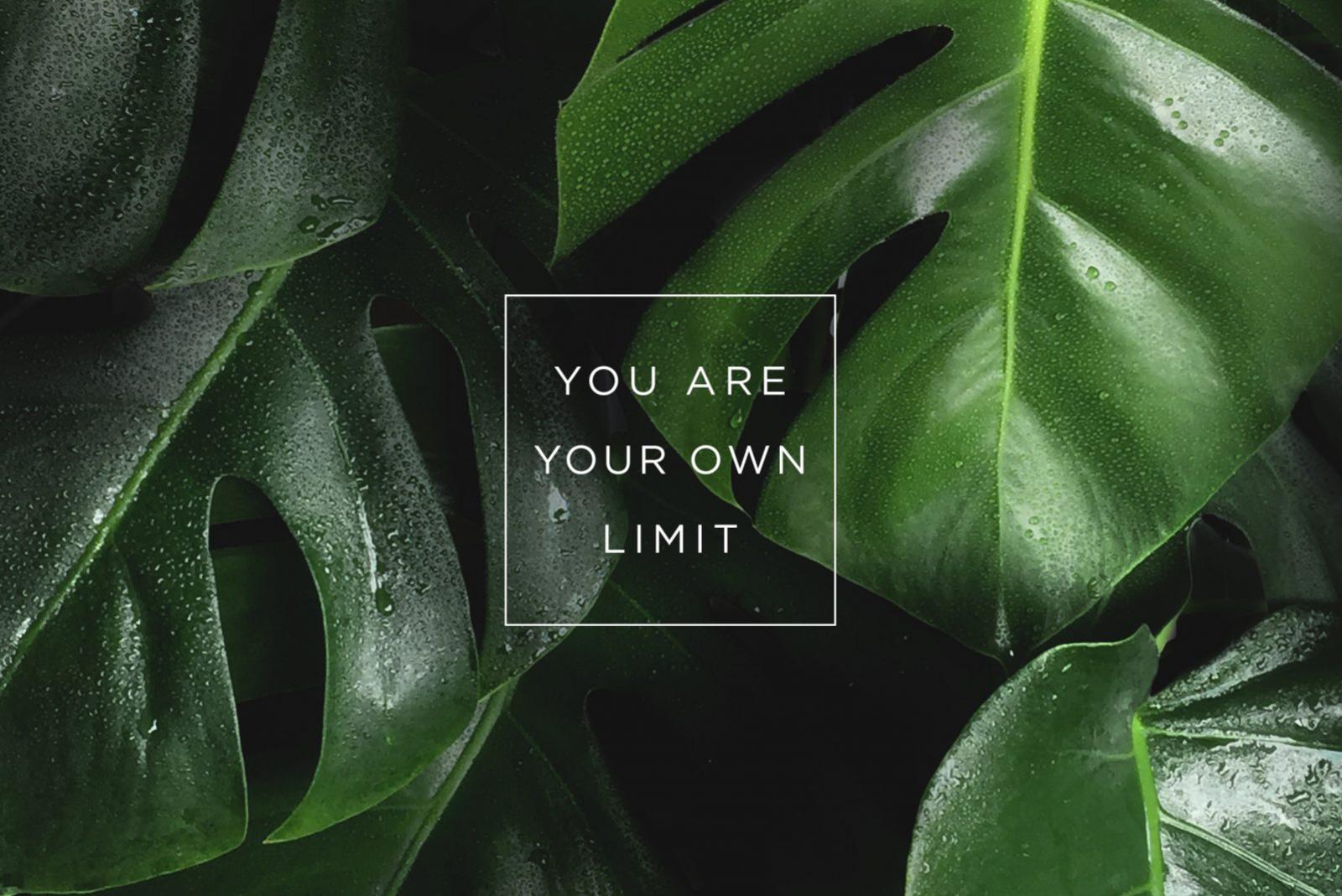 livinginsider