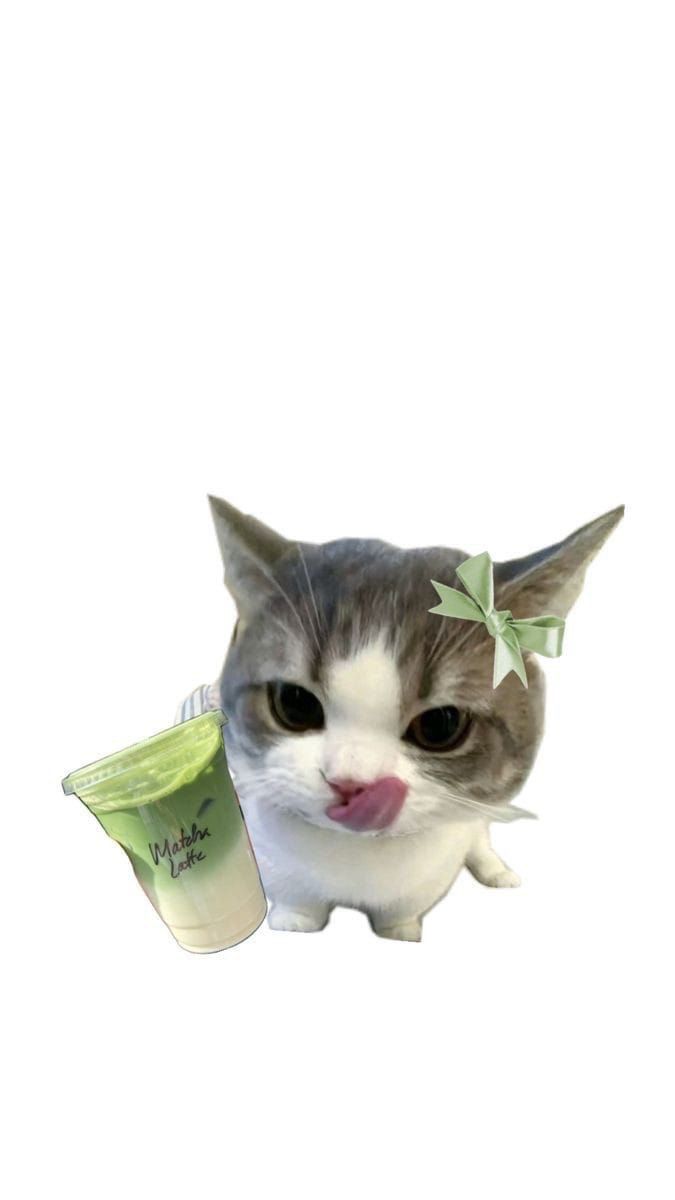 prifile img