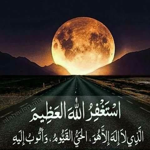 prifile img