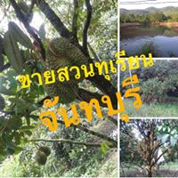 prifile img