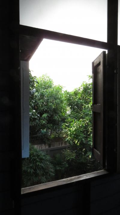 prifile img