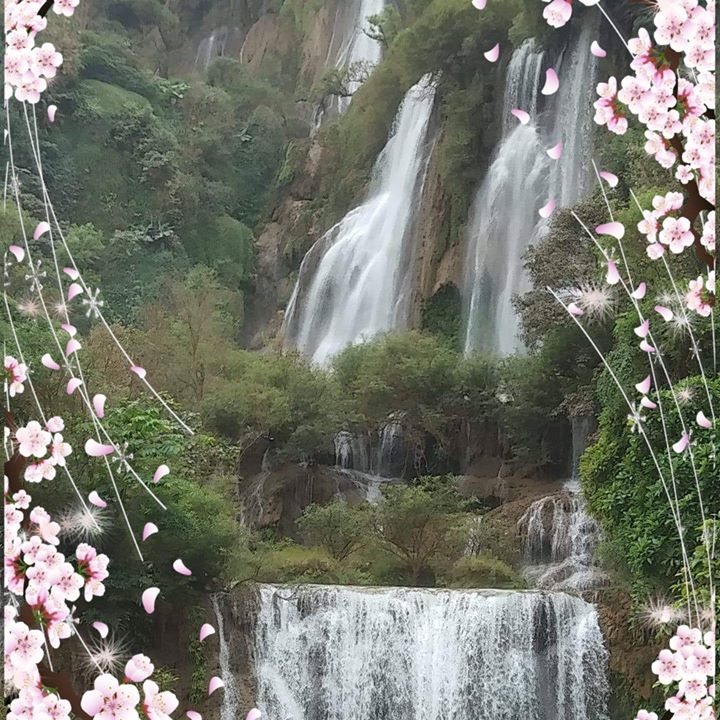 prifile img
