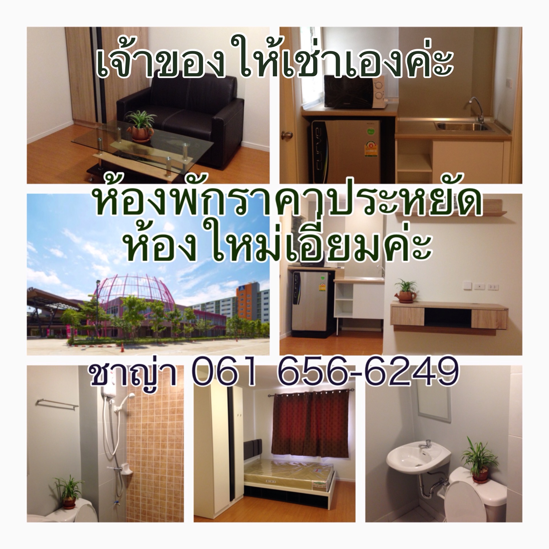 prifile img