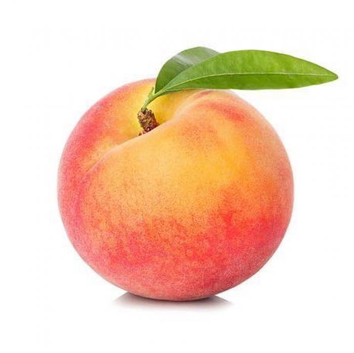 prifile img