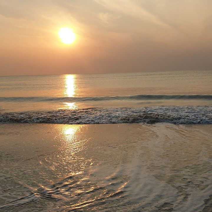 prifile img