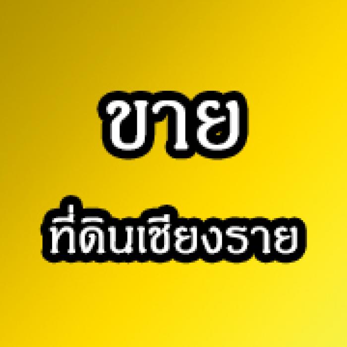 prifile img