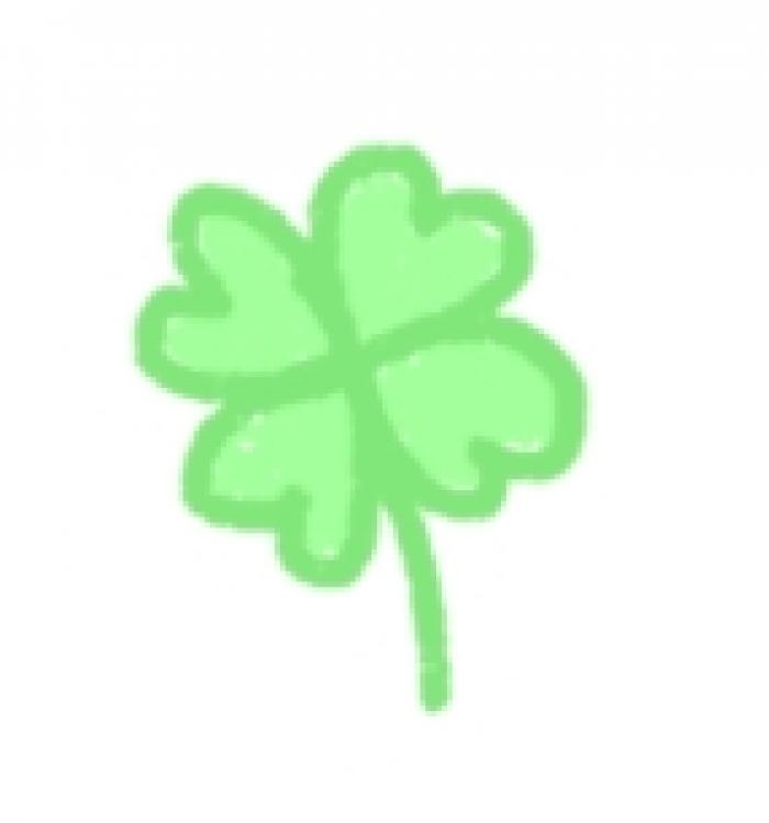 prifile img