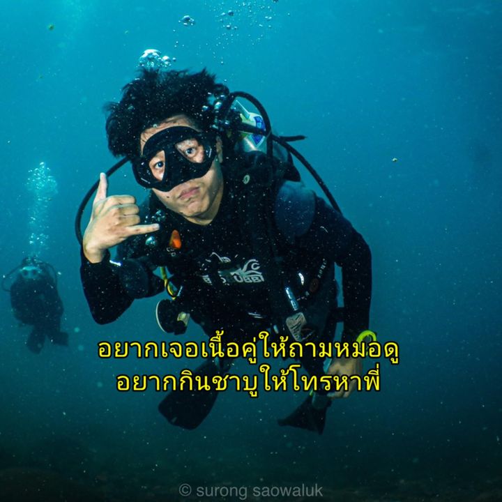 prifile img
