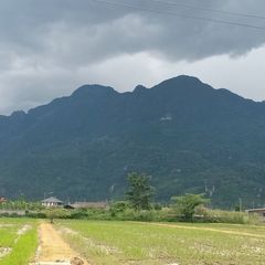 prifile img