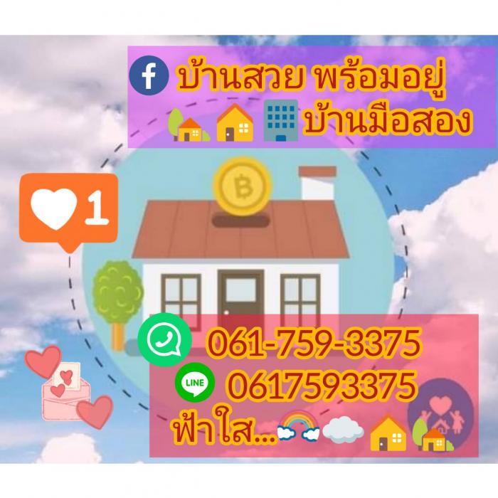 prifile img