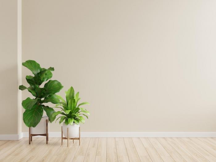 livinginsider