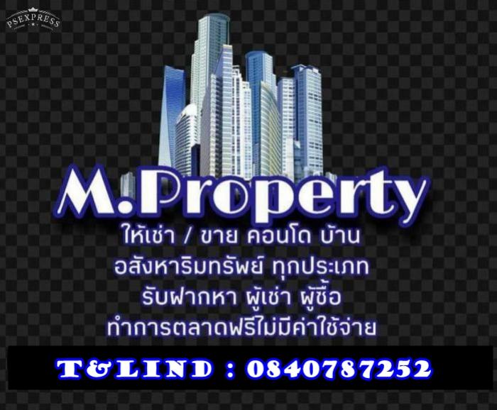 profile-property.meaw9999