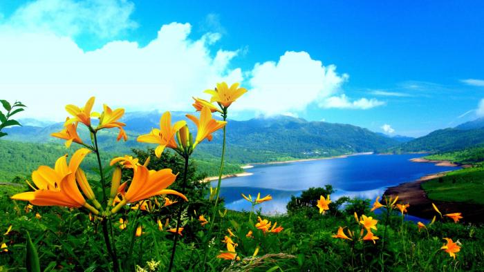 prifile img