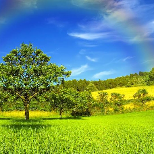 prifile img