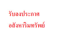 prifile img