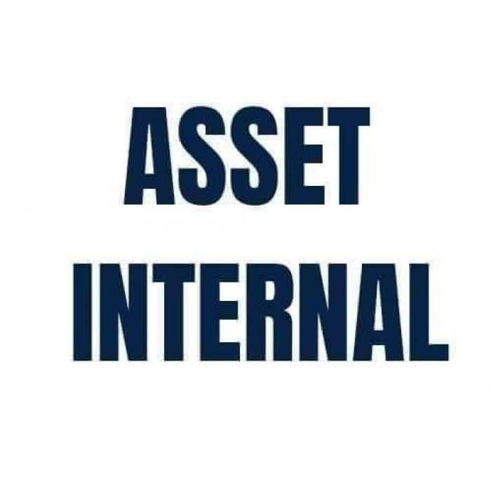profile-Asset Internal