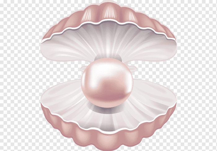 prifile img