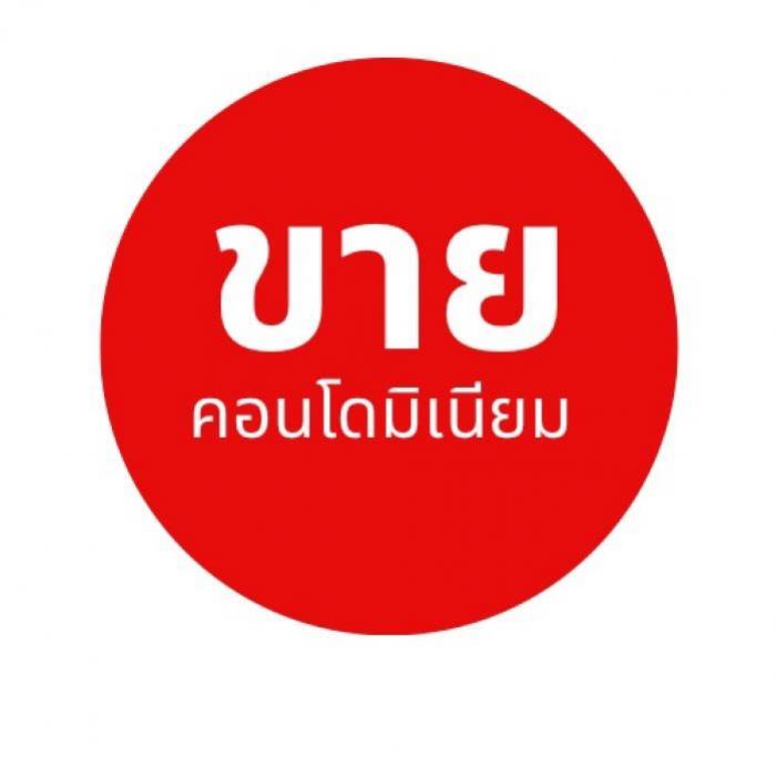 prifile img