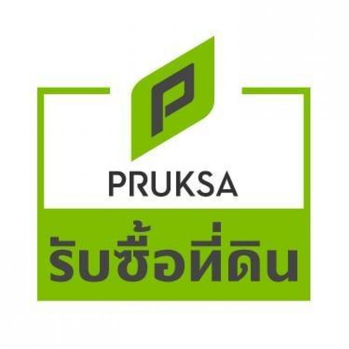 prifile img